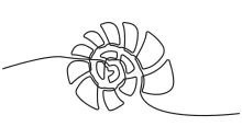 Relaxing One-Line Seashell Drawing for Curve Practice and Art Focus