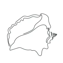 Draw a Seashell in One Line to Build Confidence with Repeating Shapes
