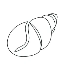 One-Line Seashell Drawing for Practicing Curve Direction Awareness