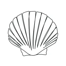 One-Line Seashell Drawing for Practicing Repetition and Symmetry