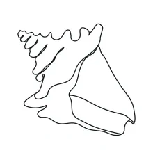 Learn to Draw a Seashell in One Line for Focused Art Practice