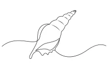 One-Line Seashell Drawing to Strengthen Pattern Recognition
