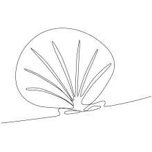One-Line Scallop Shell Drawing for Practicing Repeating Patterns