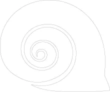 One-Line Snail Shell Drawing to Practice Spiral Line Formation