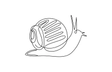 One-Line Snail Drawing for Building Spiral Confidence and Coordination