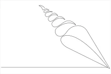 One-Line Seashell Drawing for Understanding Natural Shape Repetition