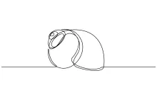One-Line Conch Shell Drawing for Exploring Spirals and Tapered Forms