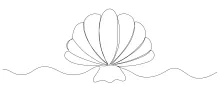 Simple One-Line Shell Drawing for Smooth Line Learning