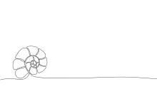 Shell One-Line Drawing for Learning Natural Shape Basics