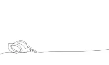 Simple Shell One-Line Drawing for Nature Observation and Line Focus
