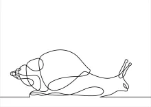 Learn to Draw a Snail in One Line to Build Coordination and Focus