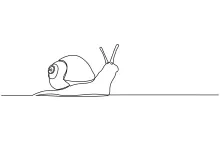 Draw a Snail in One Line to Practice Shape Flow and Connected Thinking