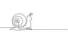 One-Line Snail Drawing for Fun, Low-Stress Nature-Based Sketching