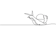 One-Line Snail Drawing to Explore Spiral Shapes and Gentle Curves