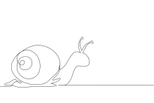 One-Line Garden Snail Drawing for Nature-Themed Art Lessons