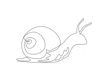 Draw a Garden Snail in One Line: Fun Nature Art for All Ages