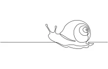 Simple Snail One-Line Drawing to Improve Shape Recognition in Nature