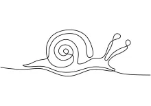 One-Line Snail Drawing for Beginners: Learn Simple Shapes and Animal Forms