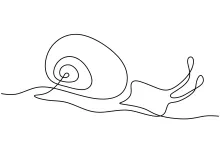Easy One-Line Snail Art: Practice Basic Curves with Simple Drawing Techniques