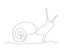 Draw a Snail in One Line: Strengthen Line Control with Simple Shapes