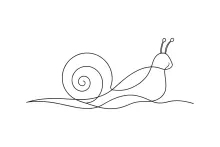 One-Line Snail Drawing to Practice Organic Shapes and Shell Proportion
