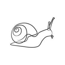Simple Snail Line Drawing for Understanding Shape and Direction