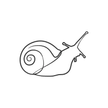 Learn Natural Forms with One-Line Snail Drawing
