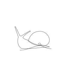 Snail One-Line Sketch: Explore Smooth Line Paths with a Natural Subject