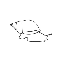 Easy One-Line Snail Sketching for Fun Art Breaks