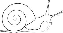 Snail One-Line Drawing for Kids: Easy and Fun Shape to Learn Line Control