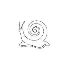 One-Line Snail Art for Kids: Build Confidence Through Simple Drawing