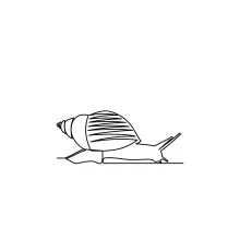 One-Line Snail Drawing: Develop Curve Drawing Skills with a Familiar Animal