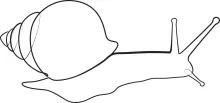 Practice a Snail in One Line: A Calm and Fun Drawing for Skill Development