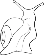 Beginner Snail Drawing in One Line: A Friendly Animal to Train Art Skills