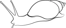 Learn One-Line Snail Drawing: Build Focus and Hand Control