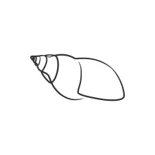 Creative One-Line Snail Drawing for Daily Practice Routines