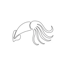 One-Line Beauty Squid Drawing: Simplify Detailed Tentacles in Minimalist Sea Art