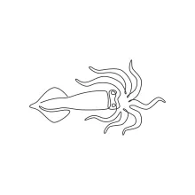 Draw a Cute Squid in One Line: Fun Marine Practice for Kids and Beginners