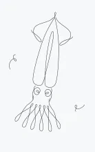 Draw a Squid in One Line to Practice Proportion and Tentacle Extension
