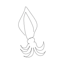 Draw a Squid in One Line for Engaging, Structured Marine Art Practice