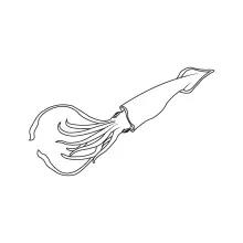 One-Line Drawing of a Squid for Balanced Arm Placement Practice