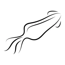 Simple One-Line Squid Drawing to Build Planning and Precision Skills