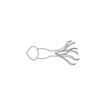 One-Line Squid Drawing to Practice Proportion and Line Direction
