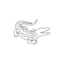 One Line Alligator Drawing for Exploring Texture and Shape