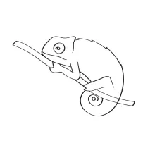 One Line Chameleon Drawing: Fun Way to Sketch an Exotic Reptile