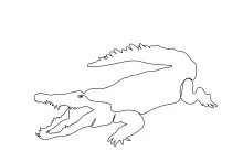 One Line Crocodile Drawing: Study Wild Reptile Forms with Clear Lines