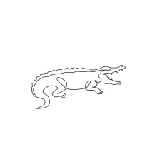 Simple One Line Crocodile Drawing for Practicing Reptile Forms