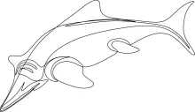 Simple One Line Ichthyosaur Drawing: Learn to Sketch Ancient Sea Creatures