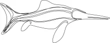 Draw an Ichthyosaur with One Line: Simple Marine Reptile Art