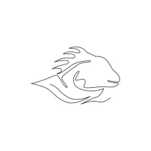 One Line Drawing of an Iguana Head for Reptile Detail Practice